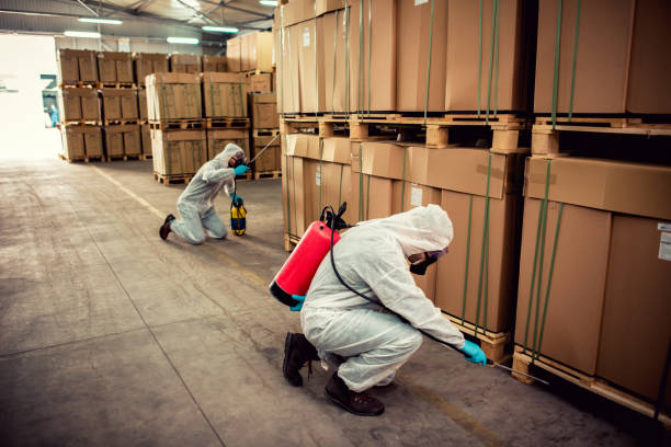 Best Termite Control Services  in Mystic, CT