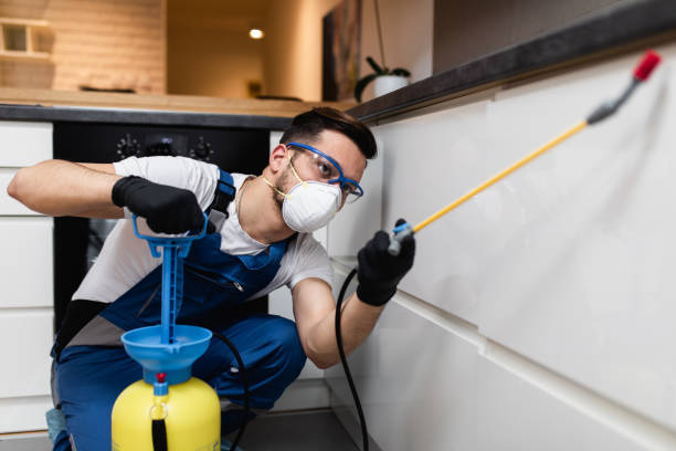 Best Pest Prevention Services  in Mystic, CT