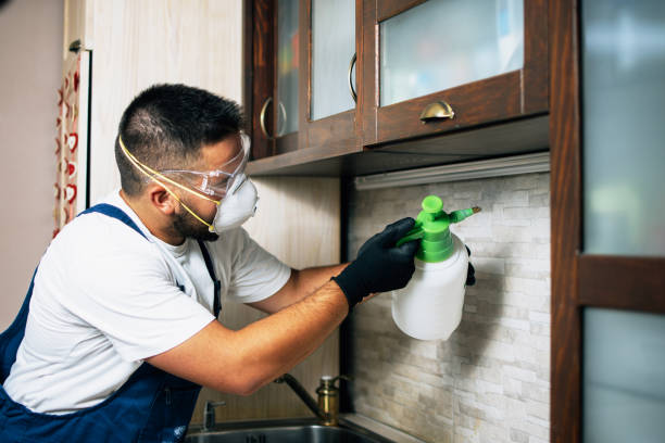 Best Exterminator Services  in Mystic, CT