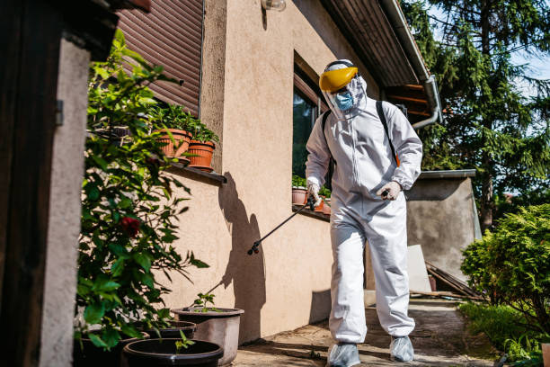 Best Pest Control Near Me  in Mystic, CT
