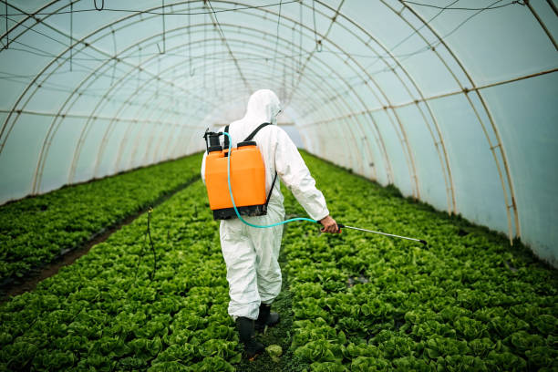 Best Pest Inspection Near Me  in Mystic, CT