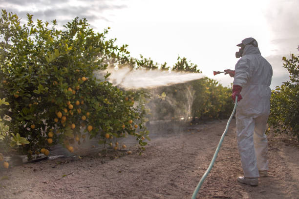 Best Exterminator Services  in Mystic, CT