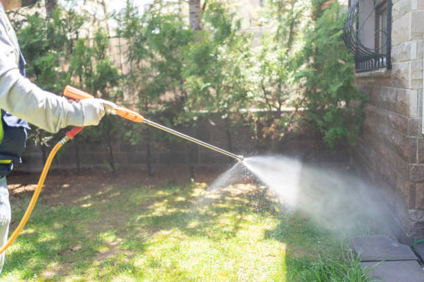 Best Rodent Control Near Me  in Mystic, CT