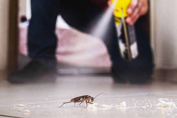 Best Cockroach Control Services  in Mystic, CT