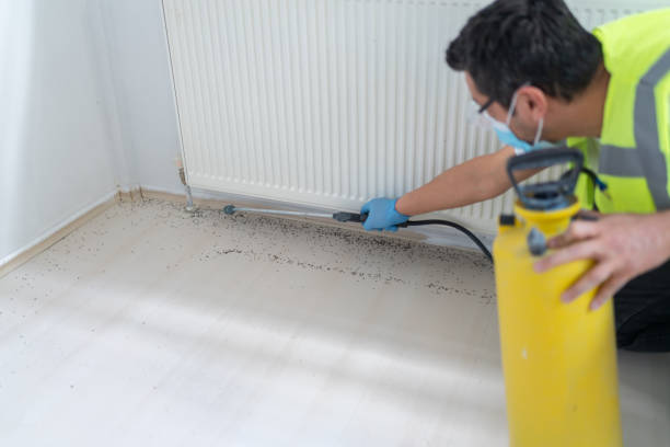 Best Residential Pest Control  in Mystic, CT