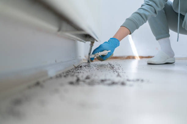 Best Mosquito Control Services  in Mystic, CT