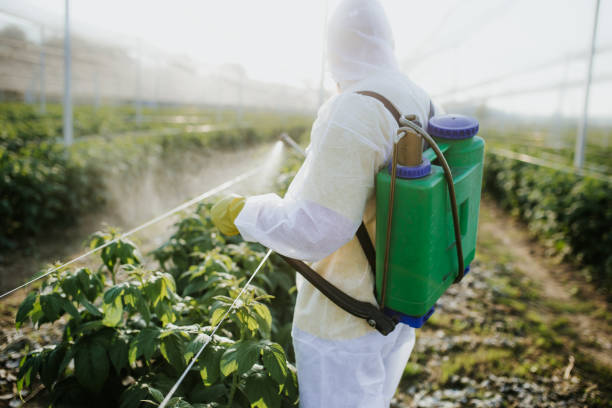 Best Cockroach Control Services  in Mystic, CT